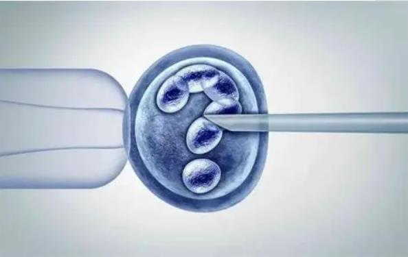 盘点试管婴儿胚胎第五天的变化带你探究胚胎的发育历程