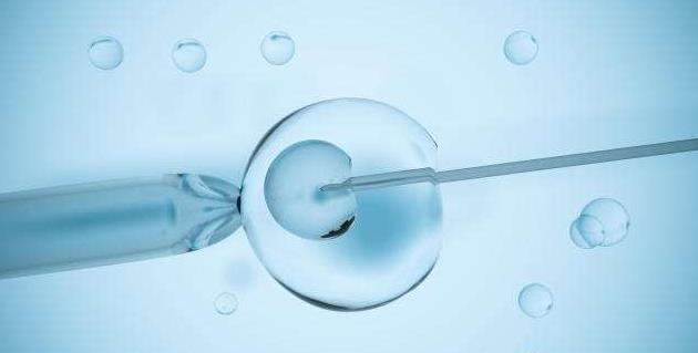 试管婴儿移植需要的高质量胚胎从哪来