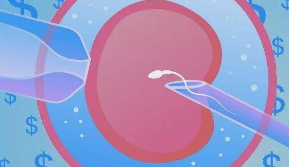 移植前医评估患者身体情况做试管婴儿开始胚胎移植的步骤详情